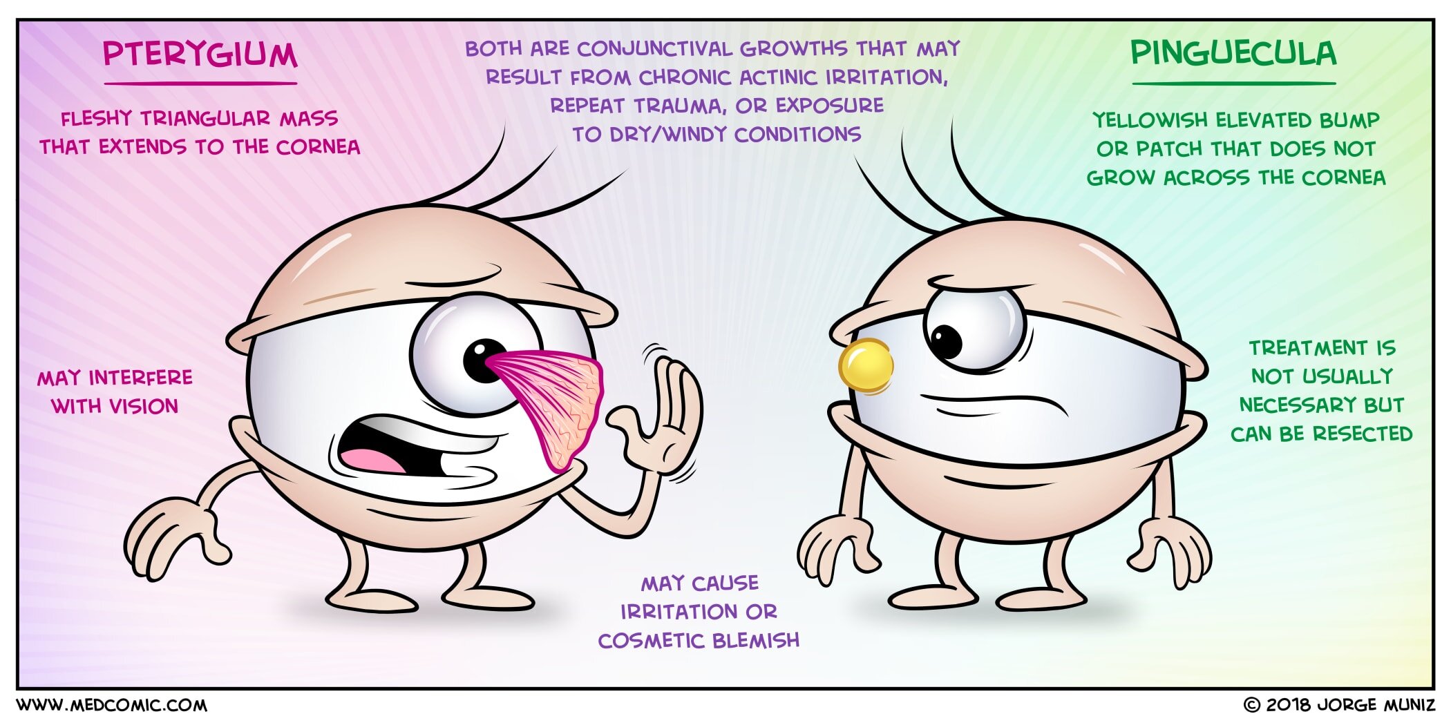 Educational medical illustration comparing pterygium (fleshy triangular conjunctival growth extending onto the cornea that may interfere with vision) and pinguecula (yellowish elevated conjunctival bump that does not cross the cornea), both occurring on the nasal side due to chronic UV exposure