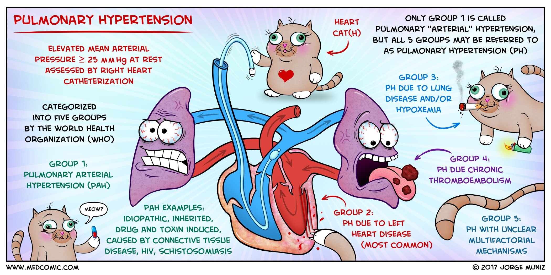 Educational medical illustration of pulmonary hypertension pathophysiology showing increased pulmonary arterial pressure (mean PAP >= 25 mmHg at rest), right ventricular hypertrophy progressing to cor pulmonale, diagnostic approach with echocardiography and right heart catheterization, and WHO classification with treatment options